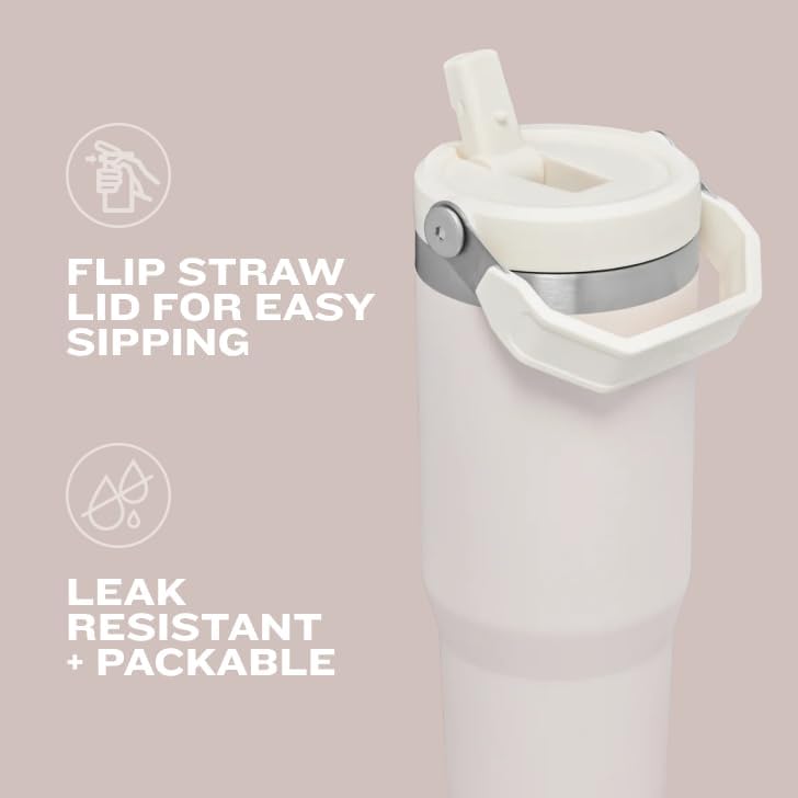 Stanley IceFlow Flip Straw Tumbler with Handle 20 oz | Twist On Lid and Flip Up Straw | Leak Resistant Water Bottle | Insulated Stainless Steel |BPA-Free | Black 2.0