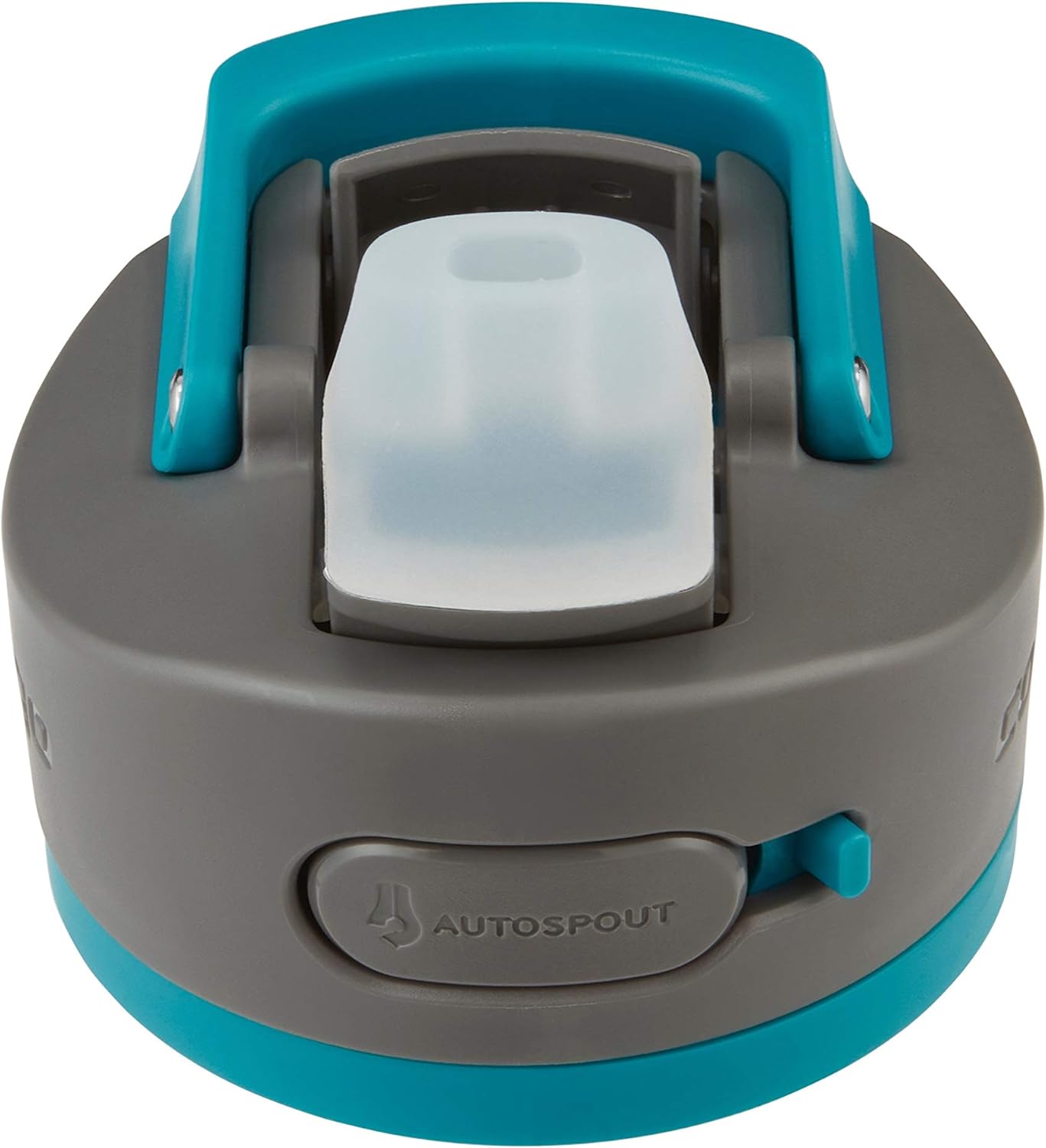 Contigo Ashland 2.0 Leak-Proof Water Bottle with Lid Lock and Angled Straw, Dishwasher Safe, Interchangeable Lid, 24oz, Juniper