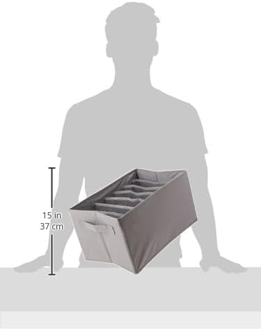 Amazon Basics Underwear Dresser Drawer Organizers, Pack of 2, Gray