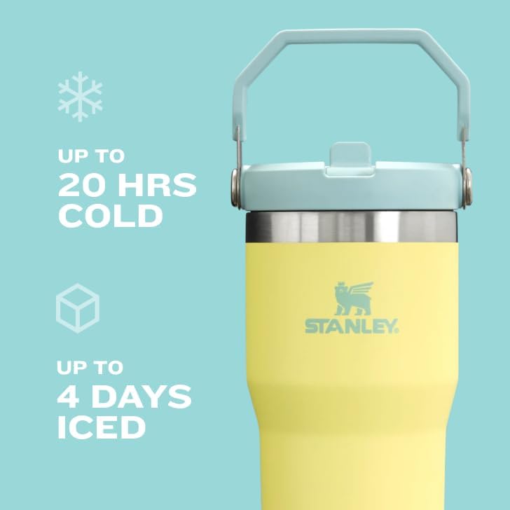 Stanley IceFlow Flip Straw Tumbler with Handle 20 oz | Twist On Lid and Flip Up Straw | Leak Resistant Water Bottle | Insulated Stainless Steel |BPA-Free | Ash