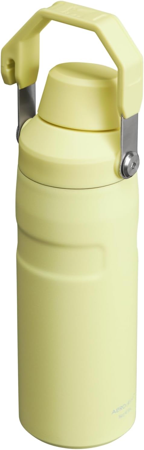 Stanley IceFlow Fast Flow Water Bottle | Angled Spout Lid | Lightweight & Leakproof for Travel & Sports | Insulated Stainless Steel | BPA-Free