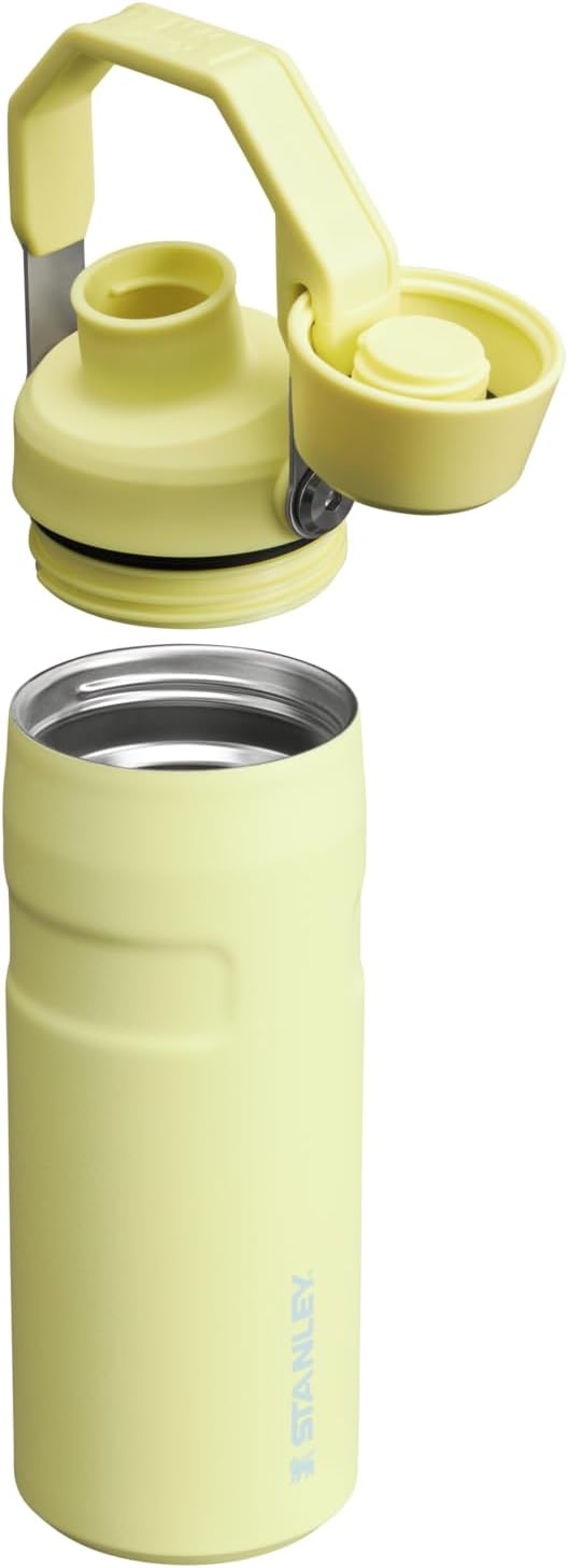 Stanley IceFlow Fast Flow Water Bottle | Angled Spout Lid | Lightweight & Leakproof for Travel & Sports | Insulated Stainless Steel | BPA-Free