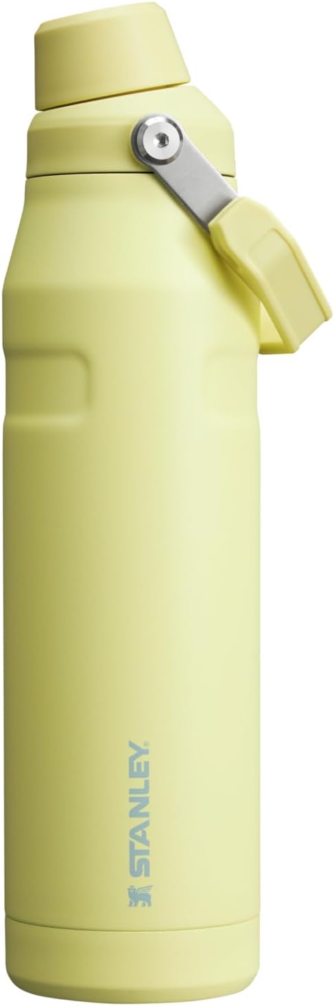 Stanley IceFlow Fast Flow Water Bottle | Angled Spout Lid | Lightweight & Leakproof for Travel & Sports | Insulated Stainless Steel | BPA-Free