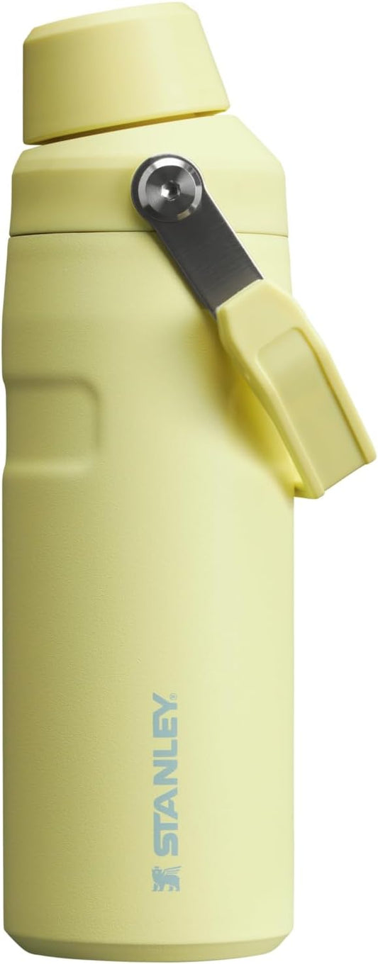 Stanley IceFlow Fast Flow Water Bottle | Angled Spout Lid | Lightweight & Leakproof for Travel & Sports | Insulated Stainless Steel | BPA-Free