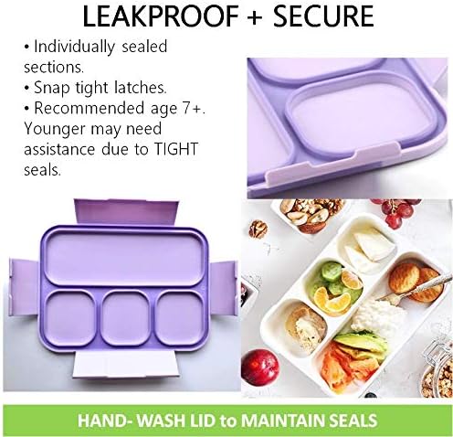 kinsho Bento-Box Lunch-Box for Kids Toddlers, Lunch and Snack Containers for Daycare, School, Boys & Girls, BPA-Free, Utensils Included (Chartreuse Forest + Purple Rainbow, 2 Pack)