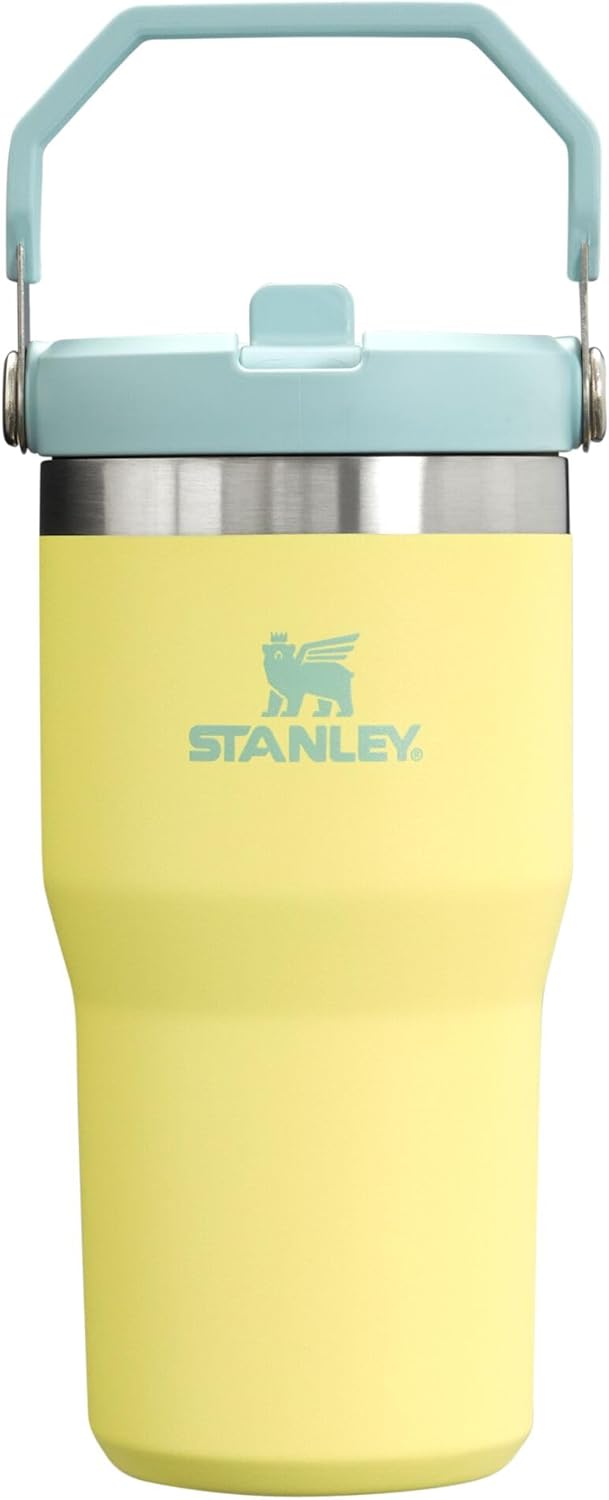 Stanley IceFlow Flip Straw Tumbler with Handle 20 oz | Twist On Lid and Flip Up Straw | Leak Resistant Water Bottle | Insulated Stainless Steel |BPA-Free | Pomelo