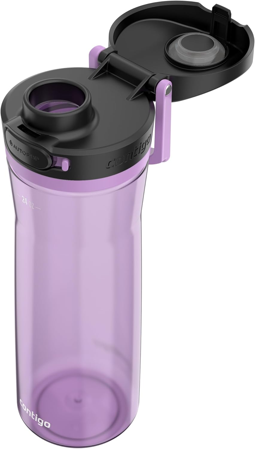 Contigo Jackson Water Bottle, 24 oz, Pansy