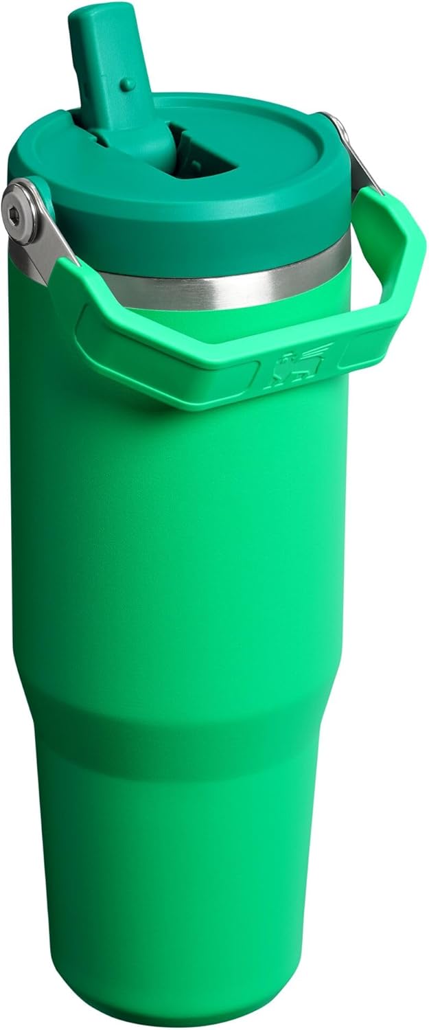 Stanley IceFlow 2.0 Flip Straw Tumbler with Handle 30 oz | Twist On Lid and Flip Up Straw | Leak Resistant Water Bottle | Insulated Stainless Steel | BPA-Free | Meadow
