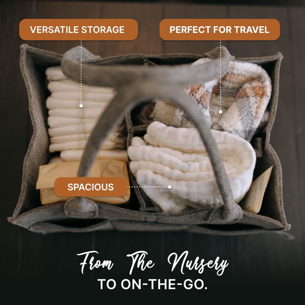 Parker Baby Diaper Caddy - Nursery Storage Bin and Car Organizer for Diapers and Baby Wipes - Charcoal, Regular