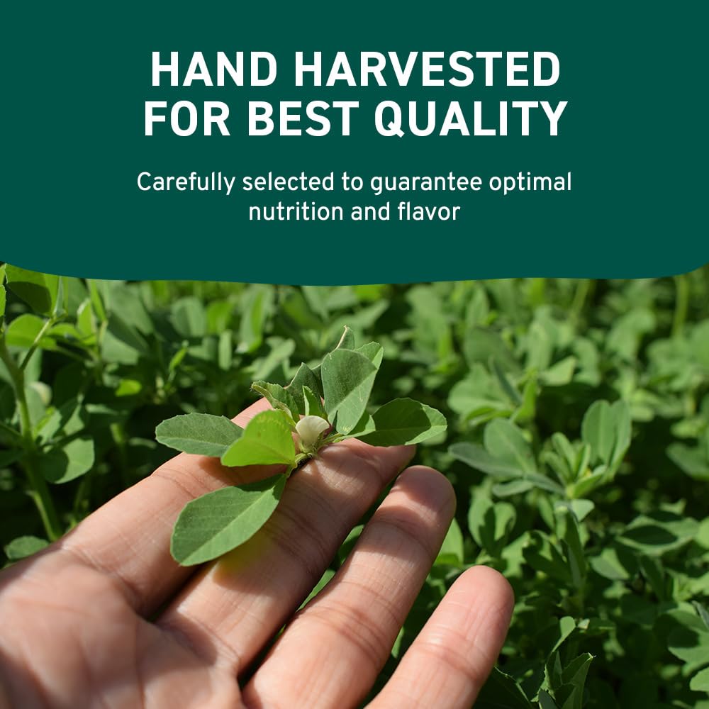 Fenugreek Powder (397g/14oz) Non GMO, Gluten Free, 100% Raw Methi Seeds, Sourced from India, For Cooking, Packed in Resealable Ziplock Pouch