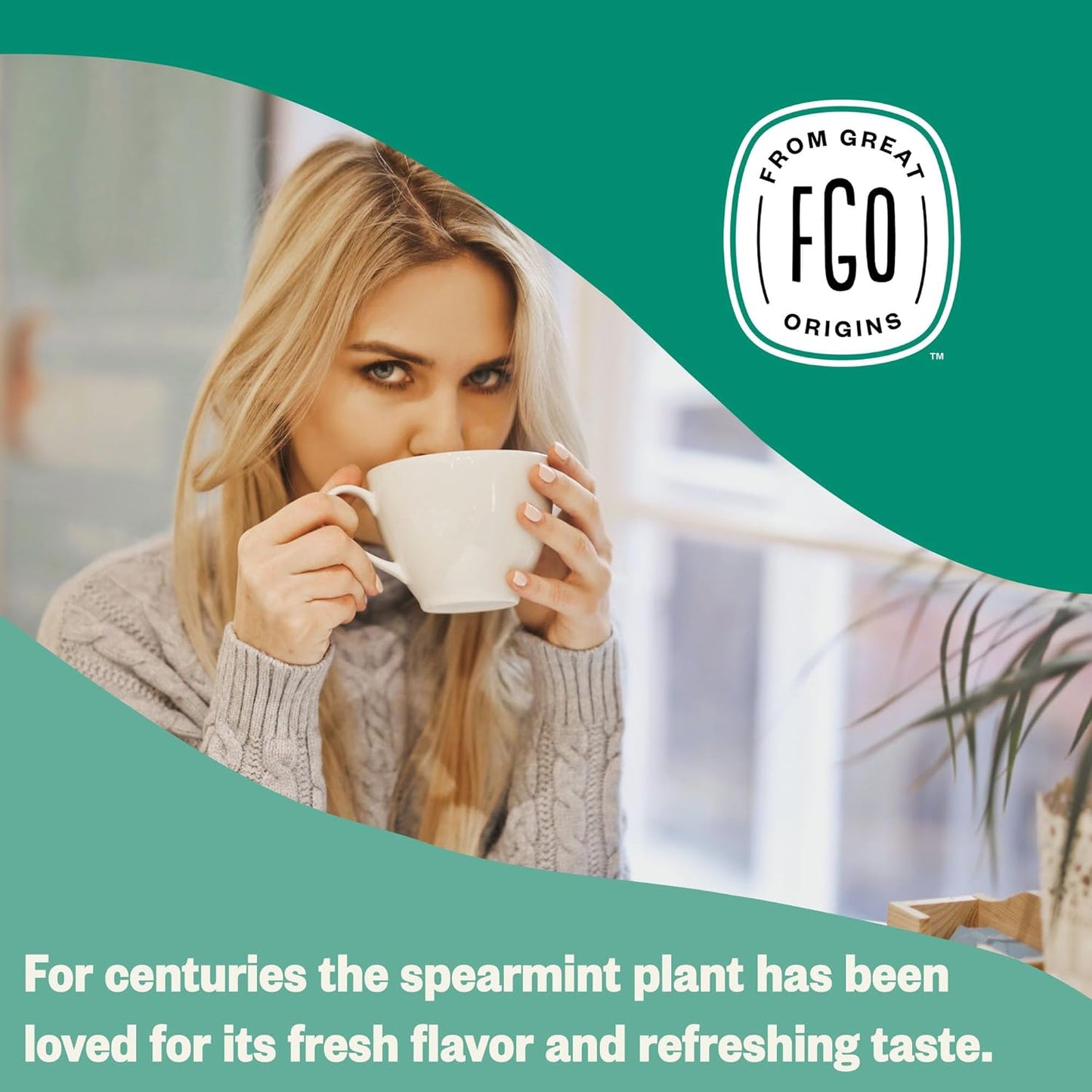 FGO Organic Spearmint Leaf Tea, 100 Count, Eco-Conscious Tea Bags, Caffeine Free, Resealable Bag, Packaging May Vary (Pack of 1)