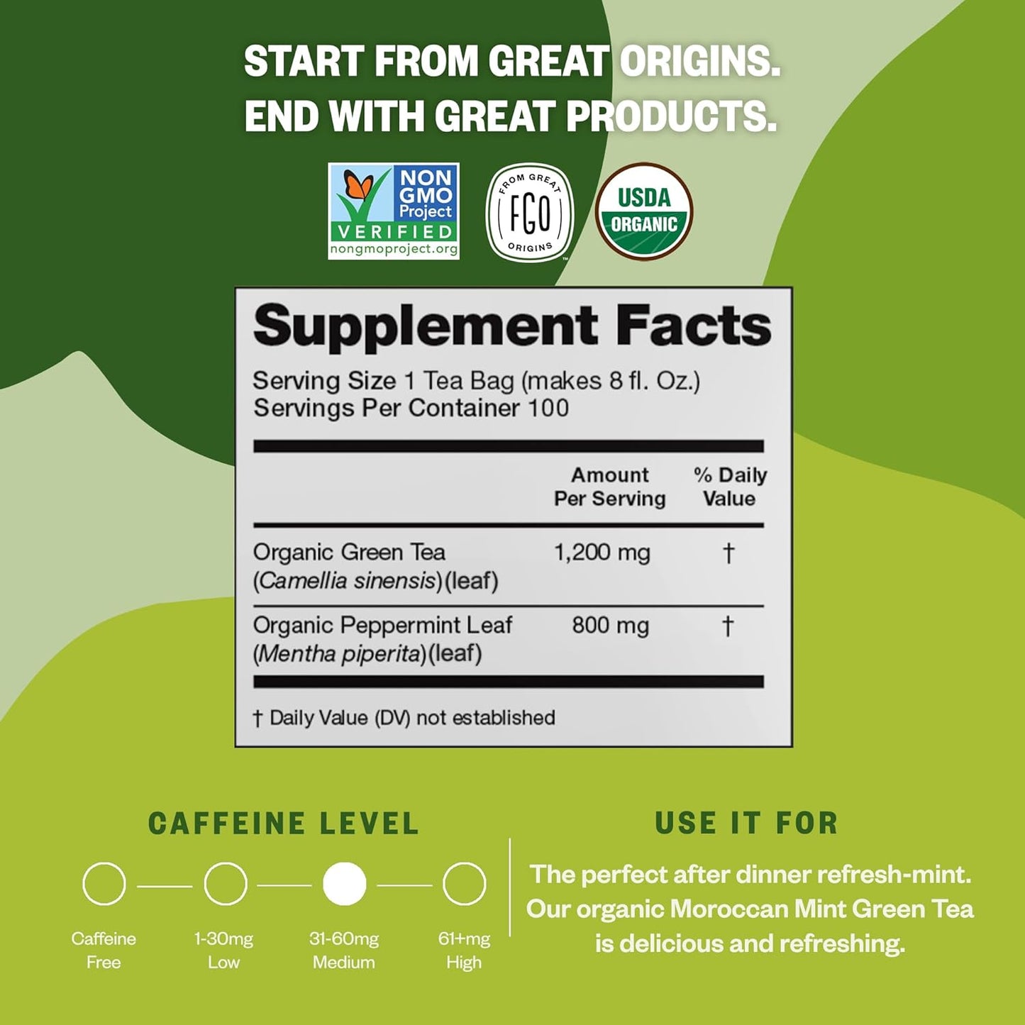 FGO Organic Moroccan Mint Green Tea, 100 Count, Eco-Conscious Tea Bags, Resealable Bag, Packaging May Vary (Pack of 1)