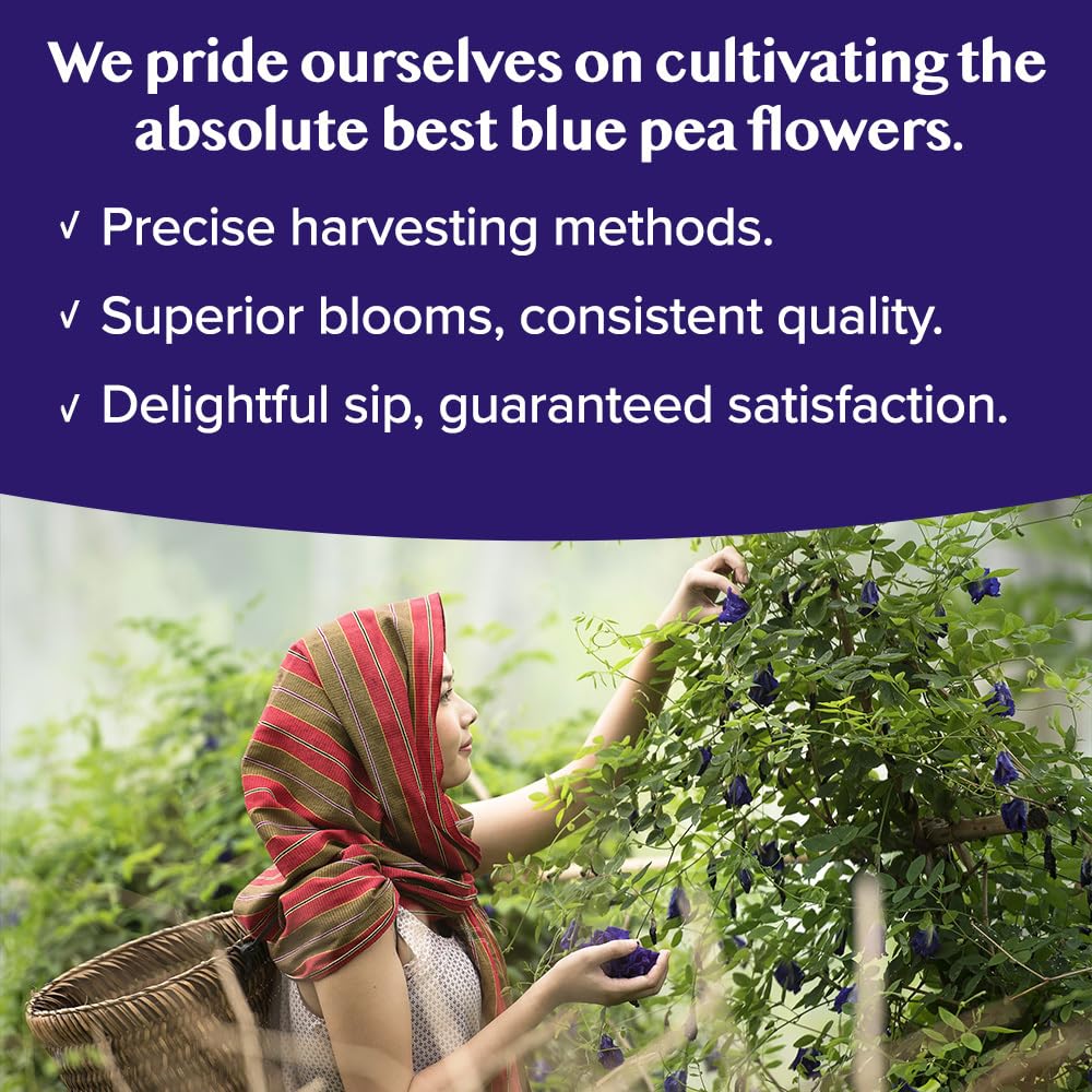 VAHDAM, Butterfly Pea Flower Tea Bags (40 Pyramid Teabags) Vegan, Non-GMO | Delicate & Earthy | Direct From Source - Plant Based Biodegradable Tea Bags | Brew Iced Tea, Cooking, Mocktails & Cocktails