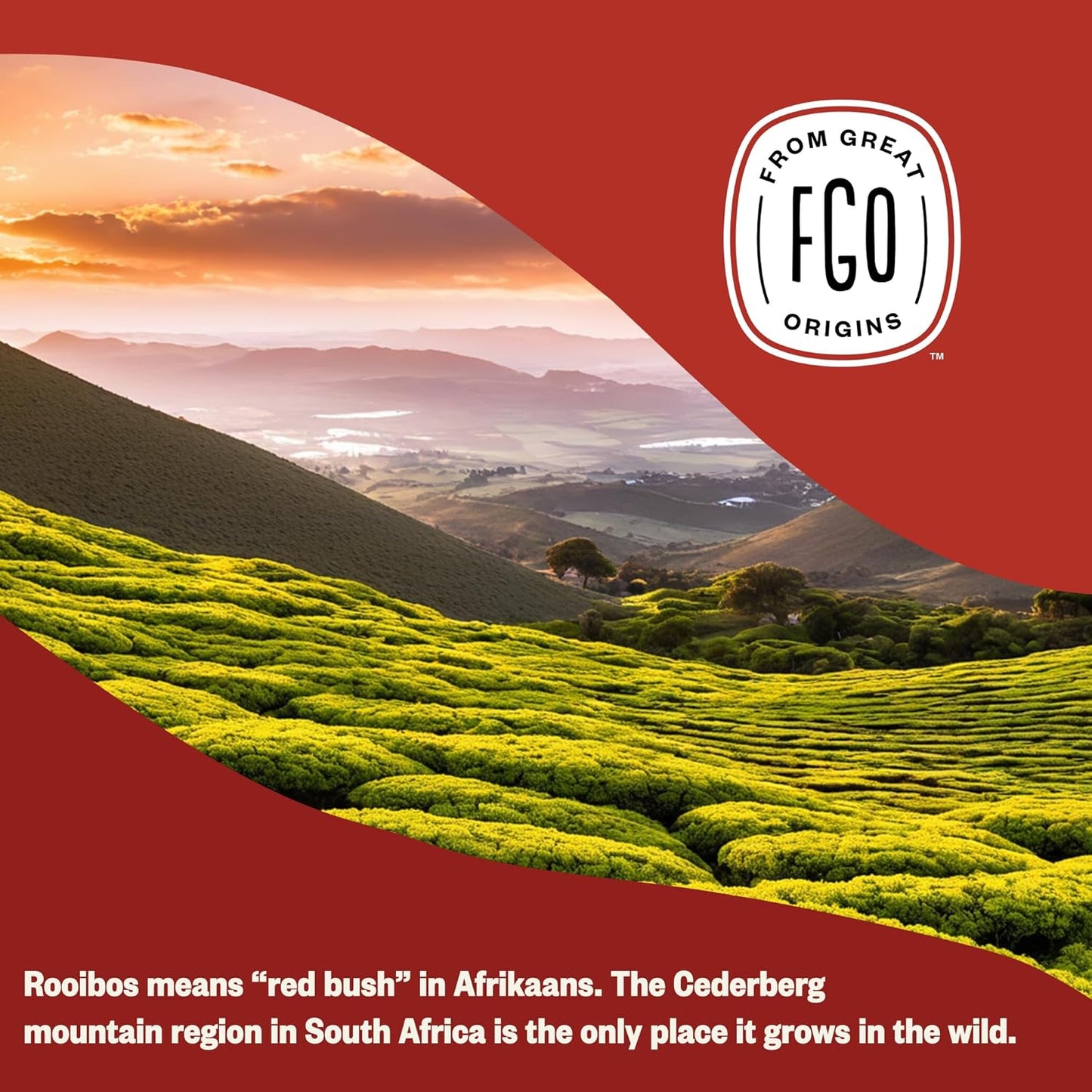 FGO Organic Rooibos Tea, 16 Ounce Loose Leaf Bulk Resealable Bag, Caffeine Free, Packaging May Vary (Pack of 1)