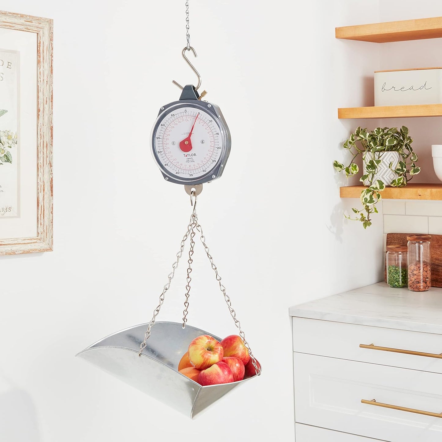 Taylor Dial Style 70-Pound Industrial Hanging Scale