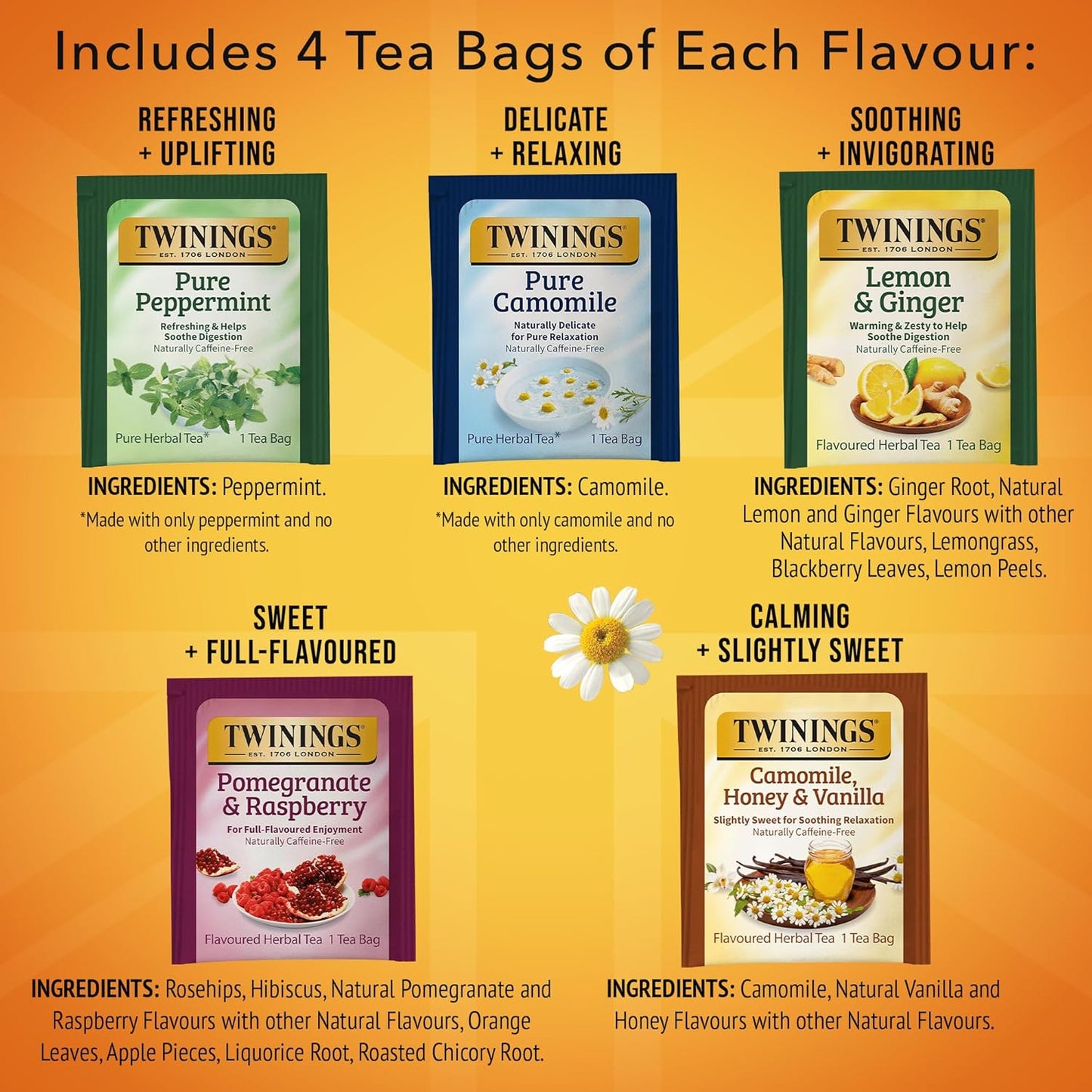 Twinings Herbal Tea Variety Pack, 20 Count (Pack of 6), Formerly Assorted Herbal, Includes 5 Flavours, Naturally Caffeine-Free, Enjoy Hot or Iced, 120 Teabags